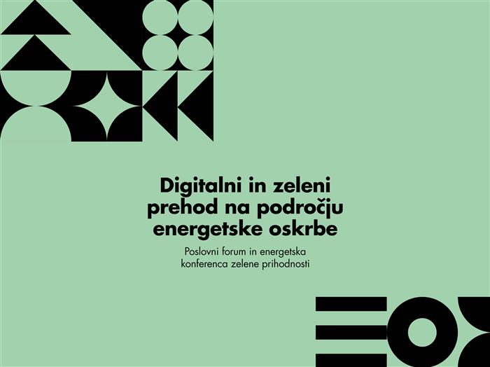 Business Forum: Digital and Green Transition in Energy Supply – 19 June 2024